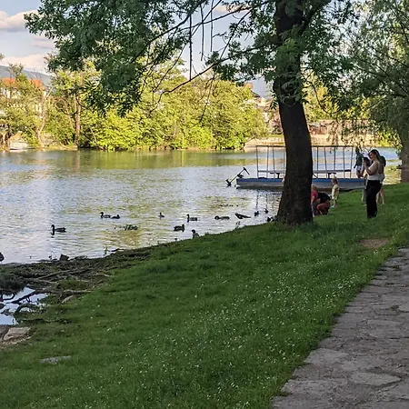 D Ibukic *