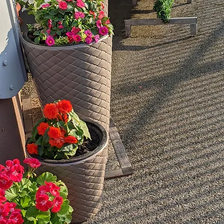 D Ibukic Apartamento Bihać